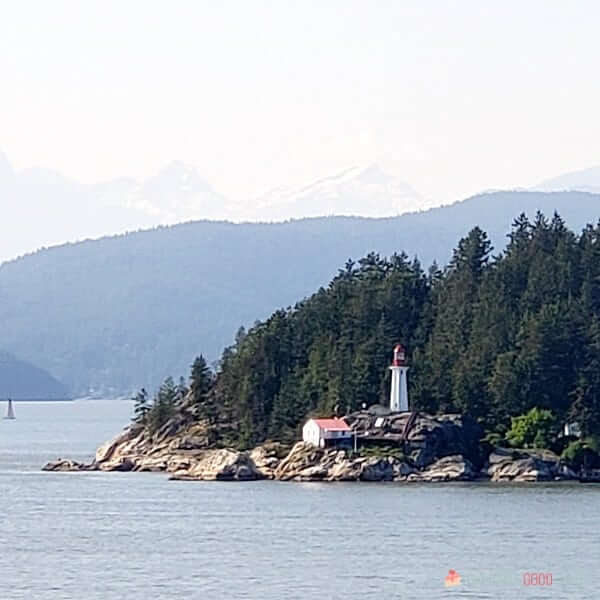 A lighthouse sits on the bank of a body of water with tall trees behind it.