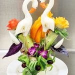 food swans