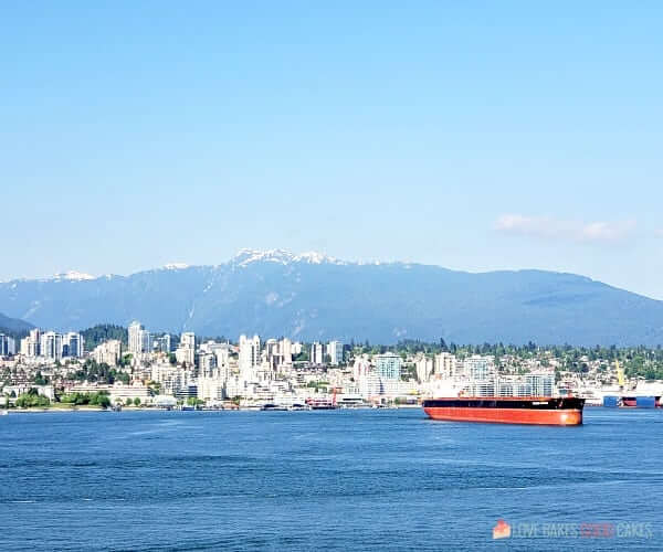 A body of water with snow covered mountains in the background.