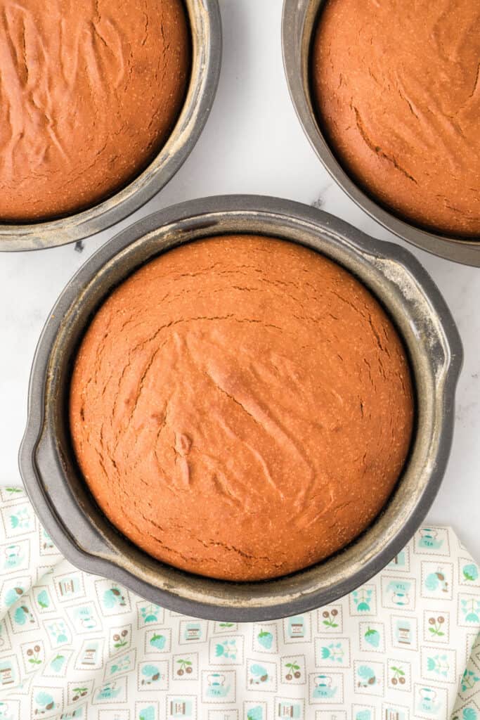 Freshly baked Chocolate Milk Cake layers cooling in their pans
