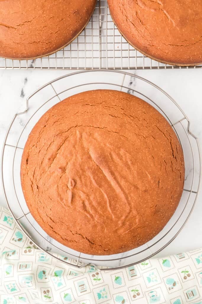 Chocolate Milk Cake layer cooling on a wire rack before frosting