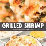grilled shrimp pin collage