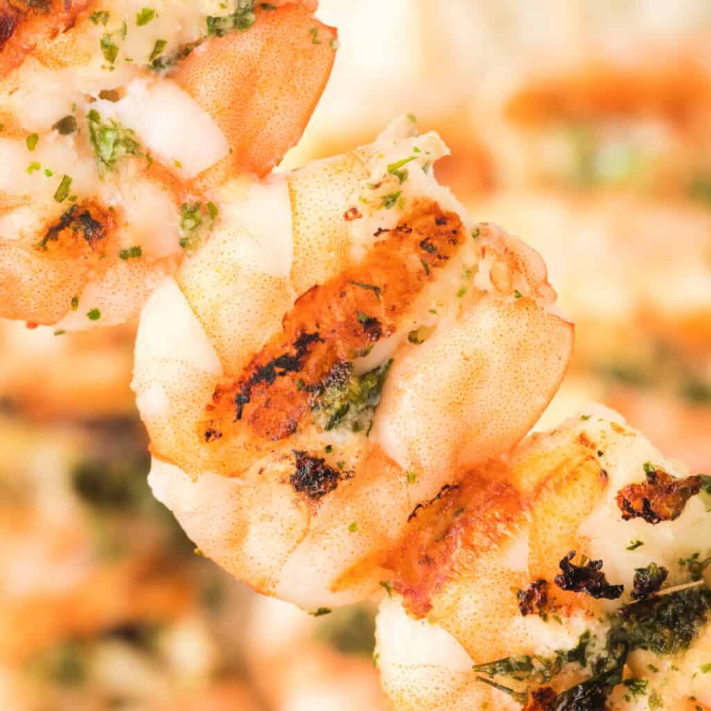 Square crop of grilled shrimp skewers with grill marks and fresh herbs.