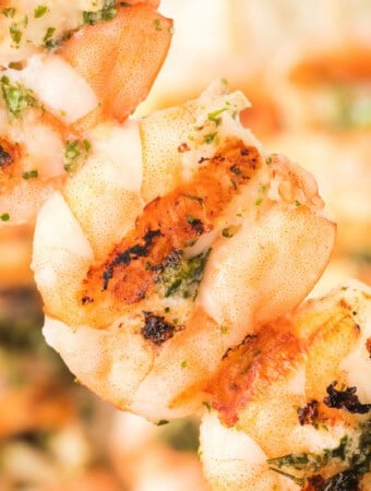 Square crop of grilled shrimp skewers with grill marks and fresh herbs.