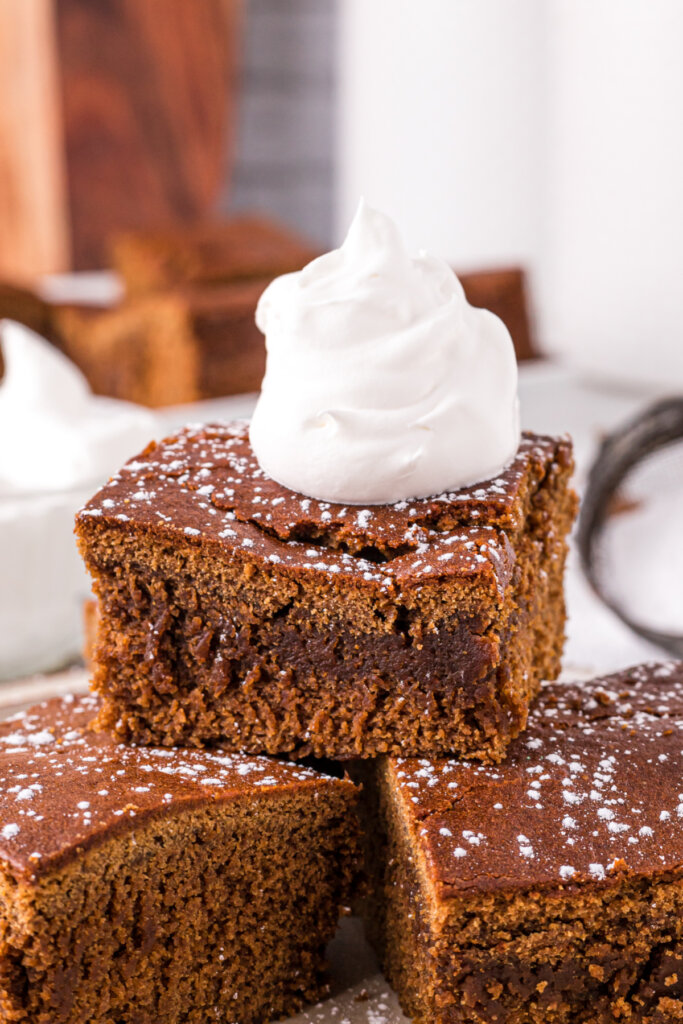 gingerbread cake with a dollop of whipped cream