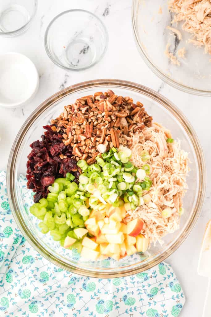 shredded chicken, celery, green onions, pecans, dried cranberries, and chopped apple in a bowl before mixing