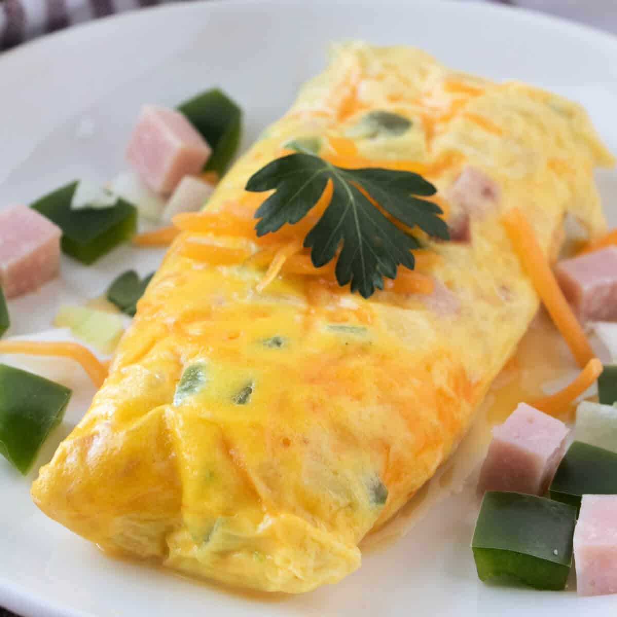 https://www.lovebakesgoodcakes.com/wp-content/uploads/2020/06/Omelet-ina-a-Bag-square.jpg