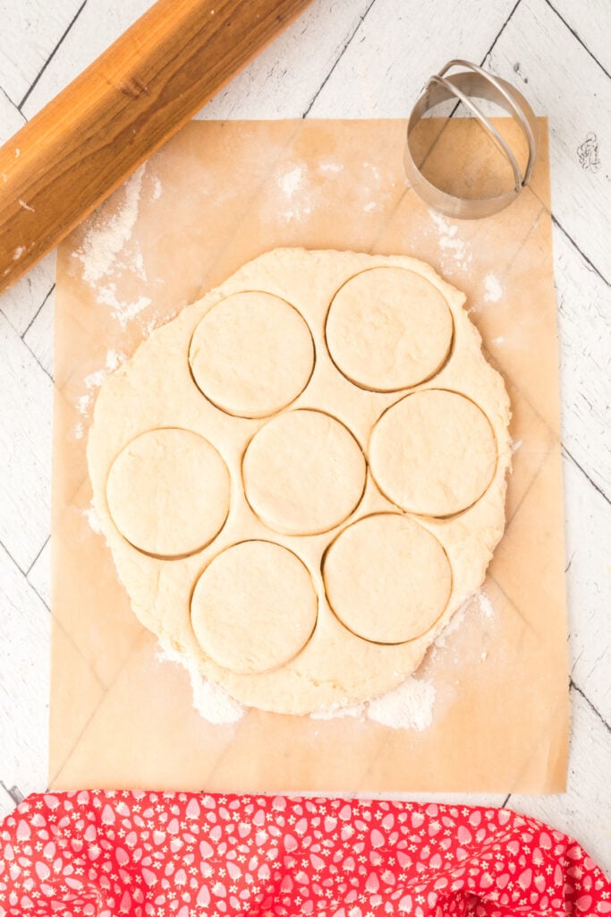 Rolled-out dough with round biscuits cut out using a biscuit cutter.