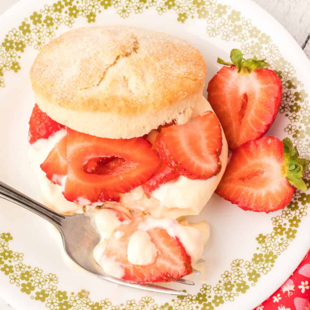 Strawberry shortcake on a plate with sliced strawberries and a fork.