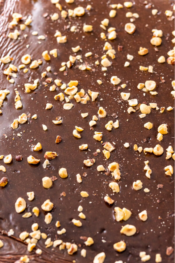 hazelnuts sprinkled over finished cake