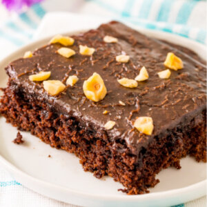 texas sheet cake slice on plate