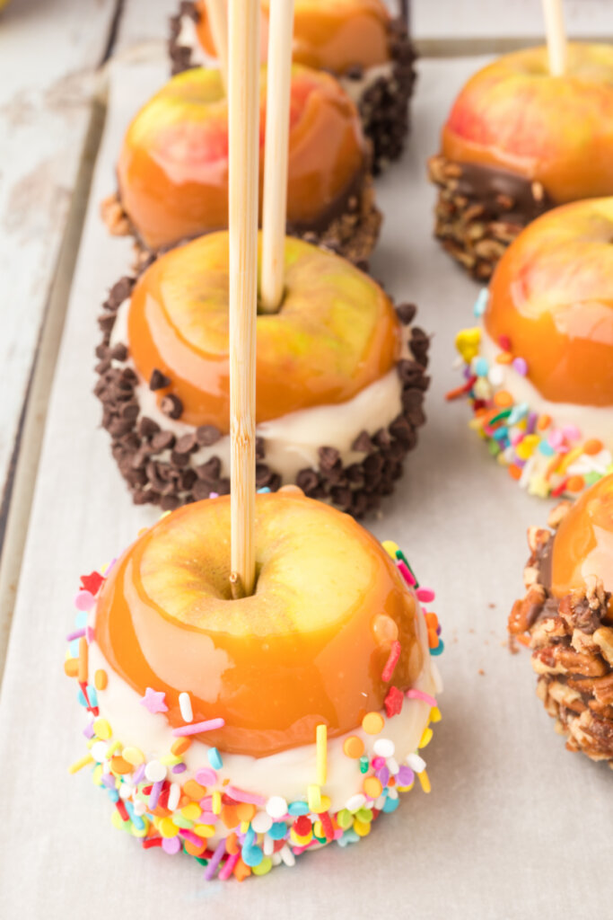 assorted decorated gourmet caramel apples resting after being coated