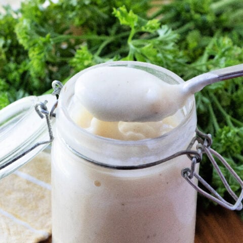 condensed soup substitute on spoon