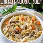 instant pot chicken noodle soup pin