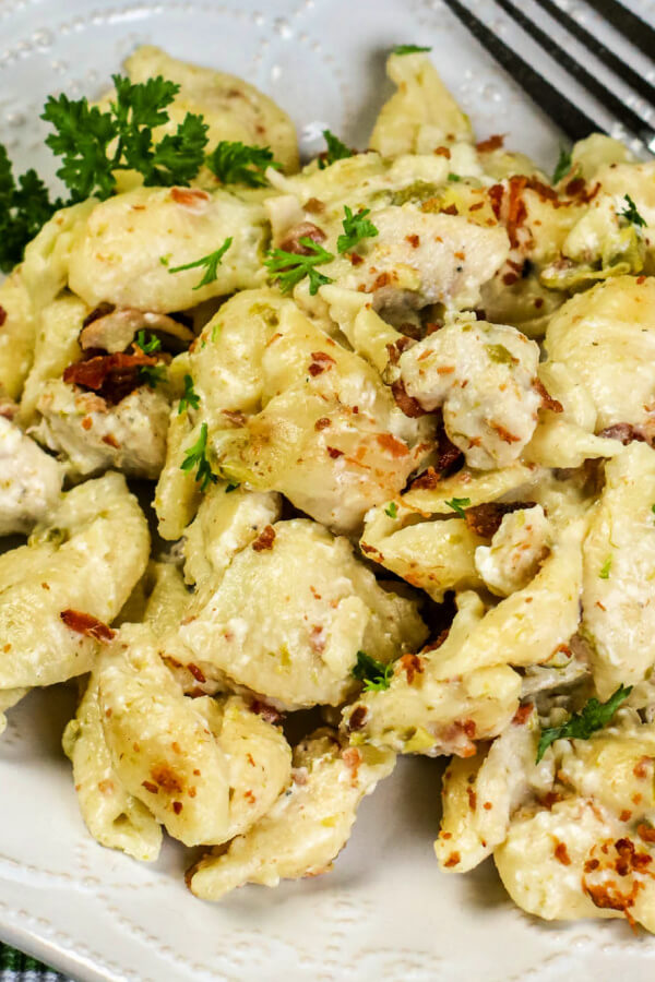 closeup of pasta on plate