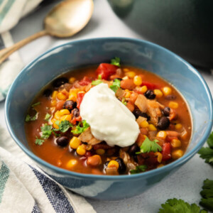 closeup of chipotle chicken soup in bowl