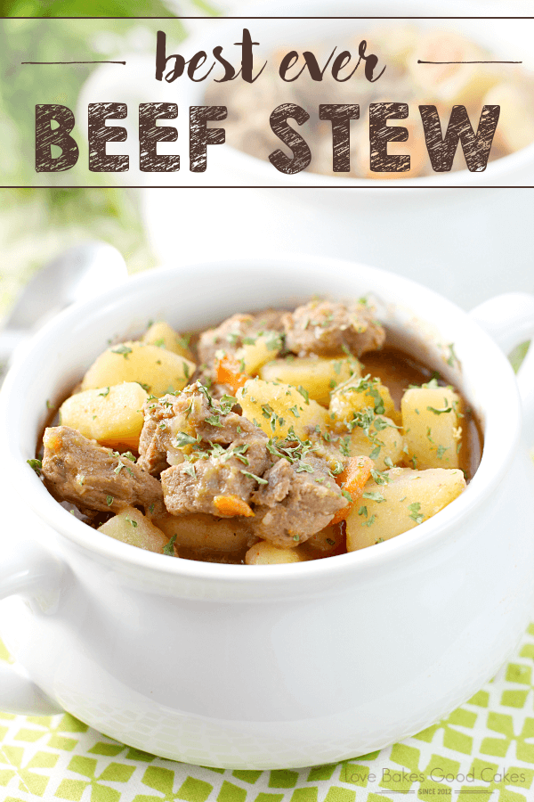 Best Ever Beef Stew in a white bowl.