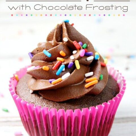 Chocolate Cupcakes with Chocolate Frosting with sprinkles.