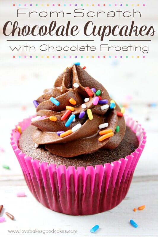 Chocolate Cupcakes with Chocolate Frosting with sprinkles.