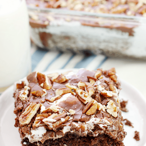 Mississippi Mud Cake on a white plate.