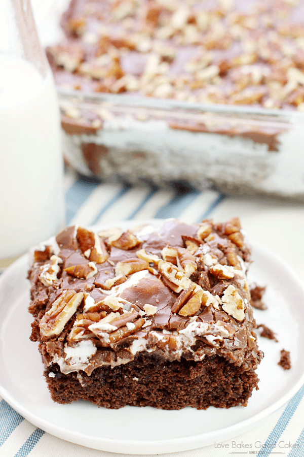 Mississippi Mud Cake on a white plate.