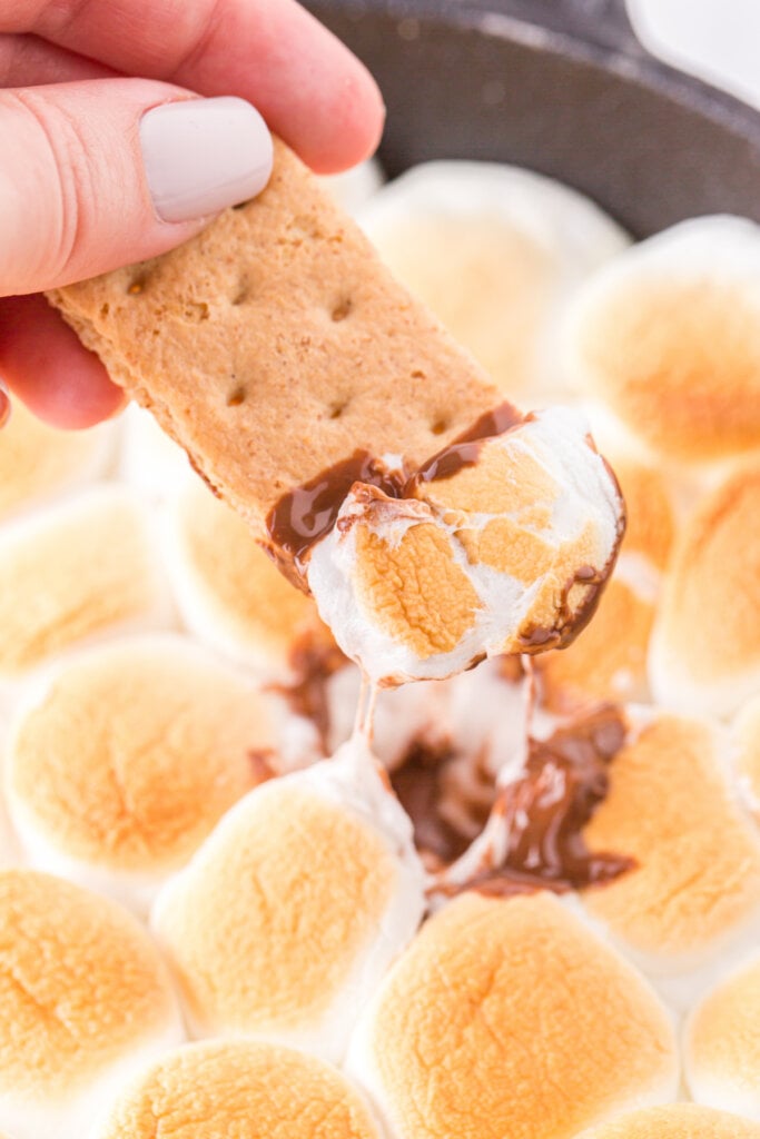 smores dip being scooped by a graham cracker