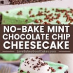 n0-bake mint chocolate chip cheesecake pin collage