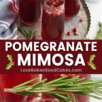 pomegranate mimosa pin collage