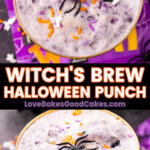 witch's brew halloween punch pin collage