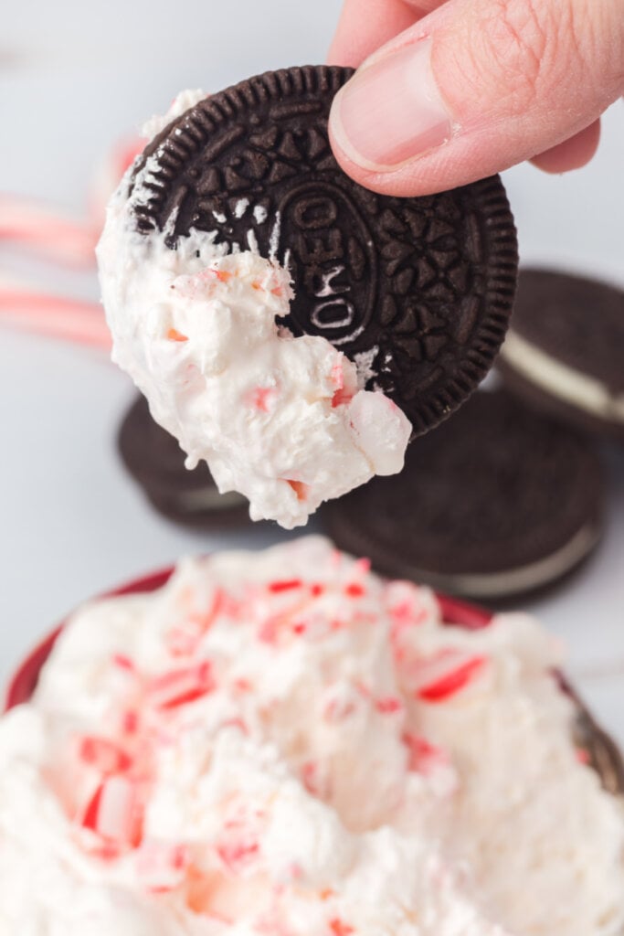 chocolate sandwich cookie dipped into candy cane dip