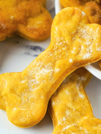 closeup of homemade dog treat