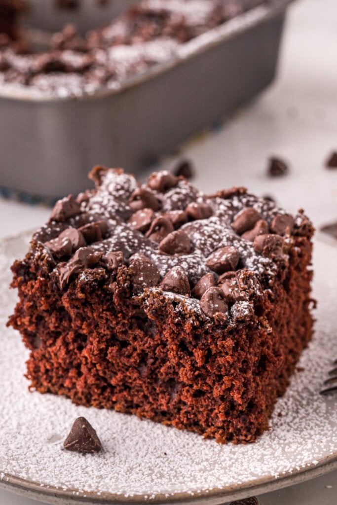 slice of chocolate snack cake on plate