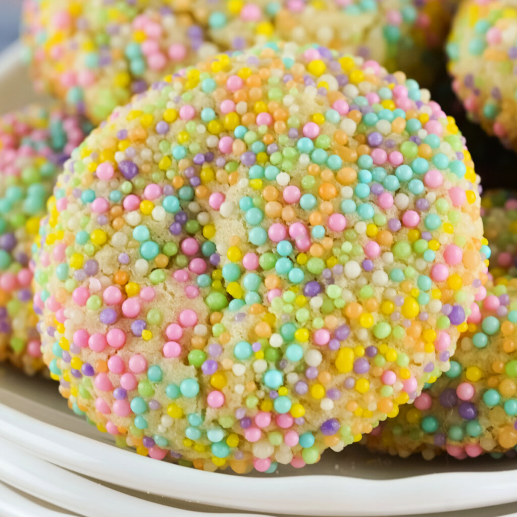 closeup Easter Sprinkle Cookie