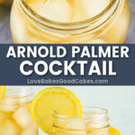 arnold palmer cocktail pin collage