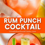 rum punch cocktail pin collage