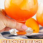 sex on the beach cocktail pin collage