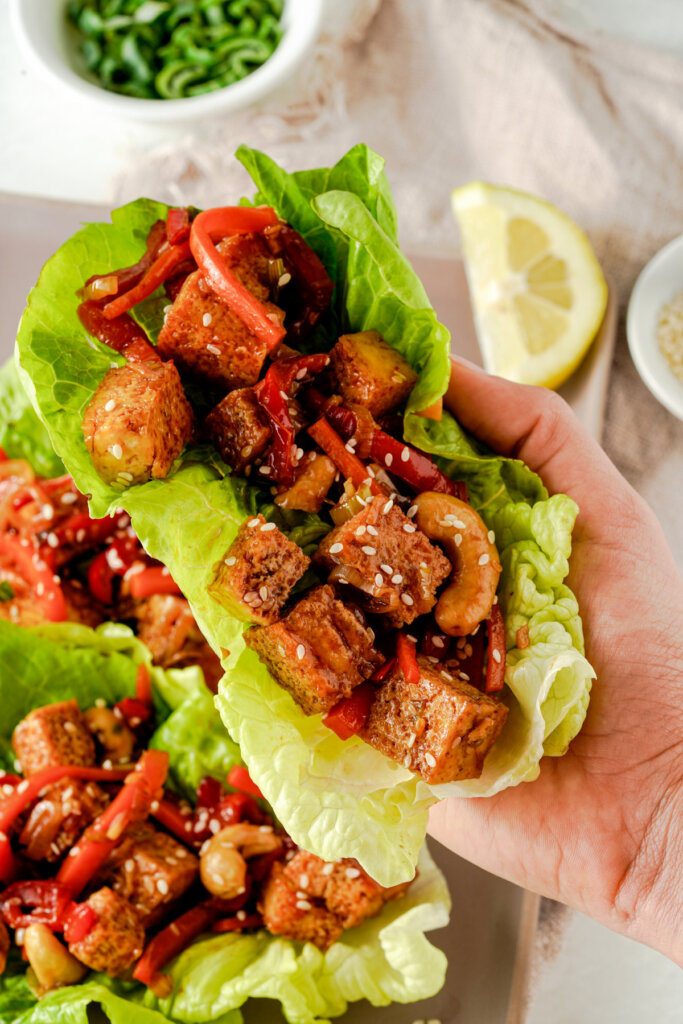 hand holding a lettuce wrap