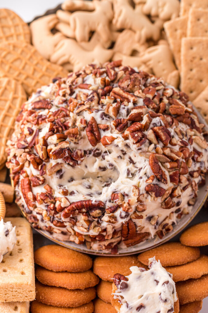 chocolate chip cheese ball with scoop taken out to show the inside