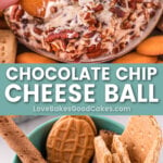 chocolate chip cheese ball pin collage