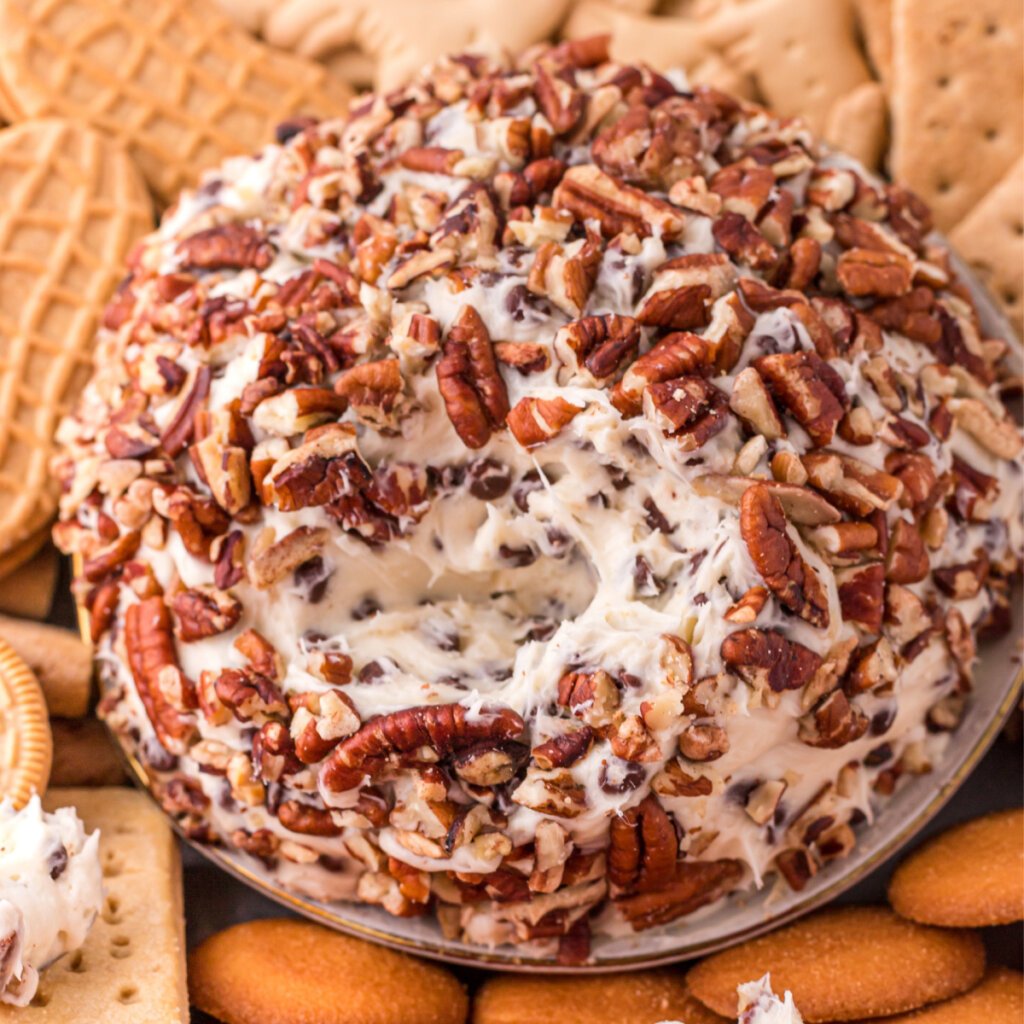 closeup chocolate chip cheese ball with scoop showing the inside