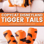 tigger tails pin collage