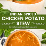 indian spiced chicken potato stew pin collage