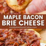 maple bacon brie cheese pin collage