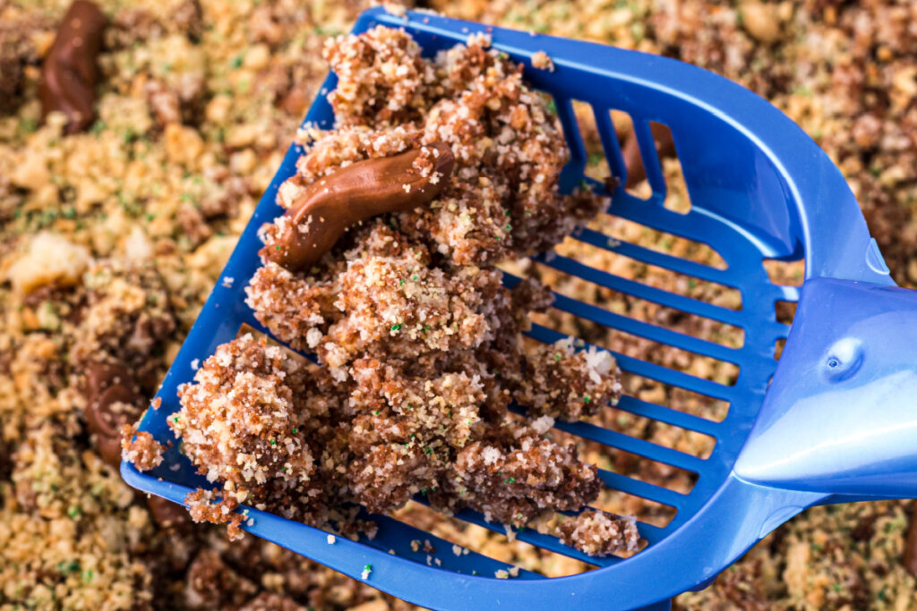 scoop with kitty litter cake