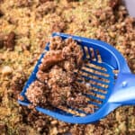 scoop picking up pieces from kitty litter cake