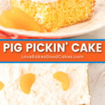 pig pickin' cake pin collage