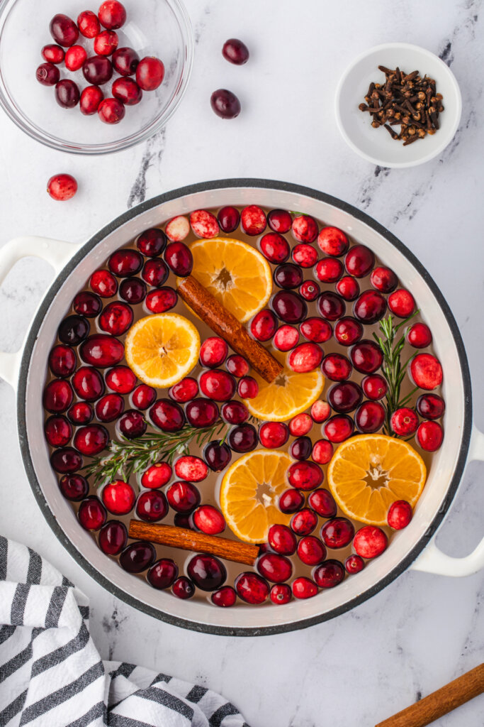 holiday potpourri in pot