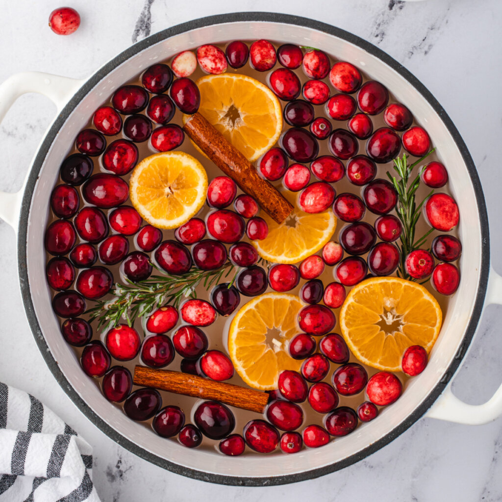 holiday stovetop potpourri in white stockpot