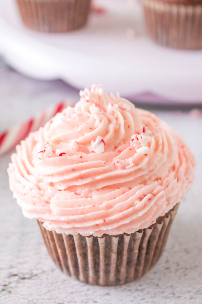 finished chocolate peppermint cupcake ready to eat