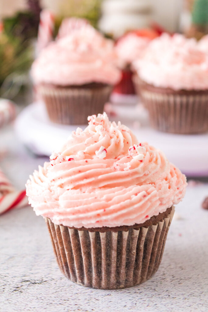 chocolate peppermint cupcakes ready to serve